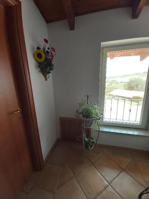 Cascina Cantaret Agriturismo San Marzano Oliveto Εξωτερικό φωτογραφία